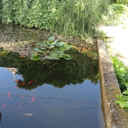 Hotel Casa Do Brigadeiro Lajeosa (Guarda)