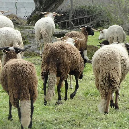 Casa Do Brigadeiro Hotel