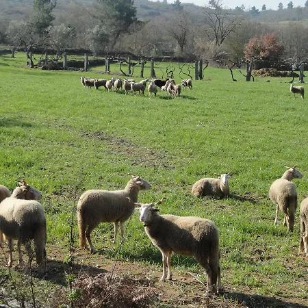 Casa Do Brigadeiro 3* Lajeosa (Guarda)