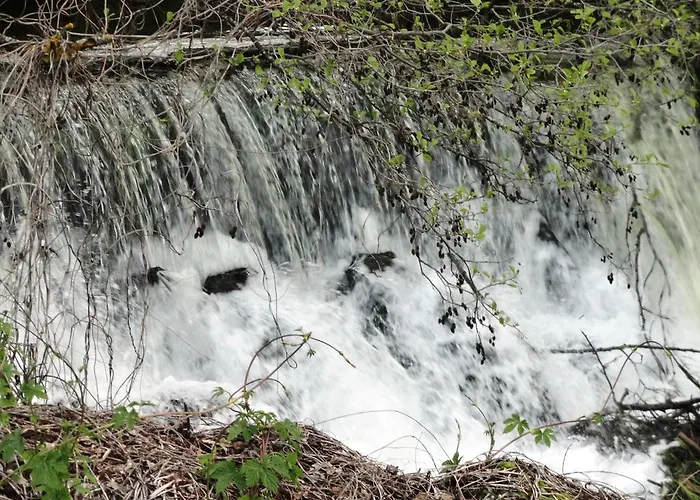 Casa Do Brigadeiro Lajeosa (Guarda)