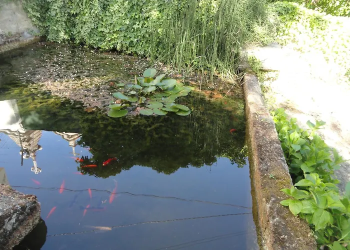 Hotel Casa Do Brigadeiro Lajeosa (Guarda)