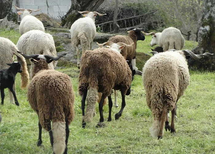 Casa Do Brigadeiro Hotel